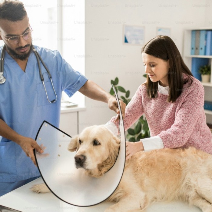 Slide 1: Preview of project 1